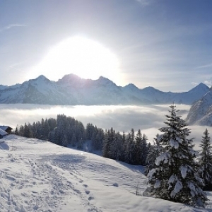 Nebelmeer_Bruesti_Skirennen